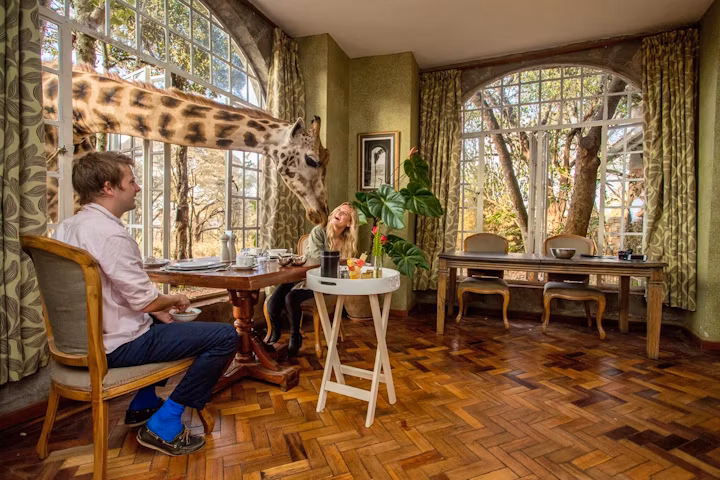 Experience the magic of the wild with a luxurious African safari