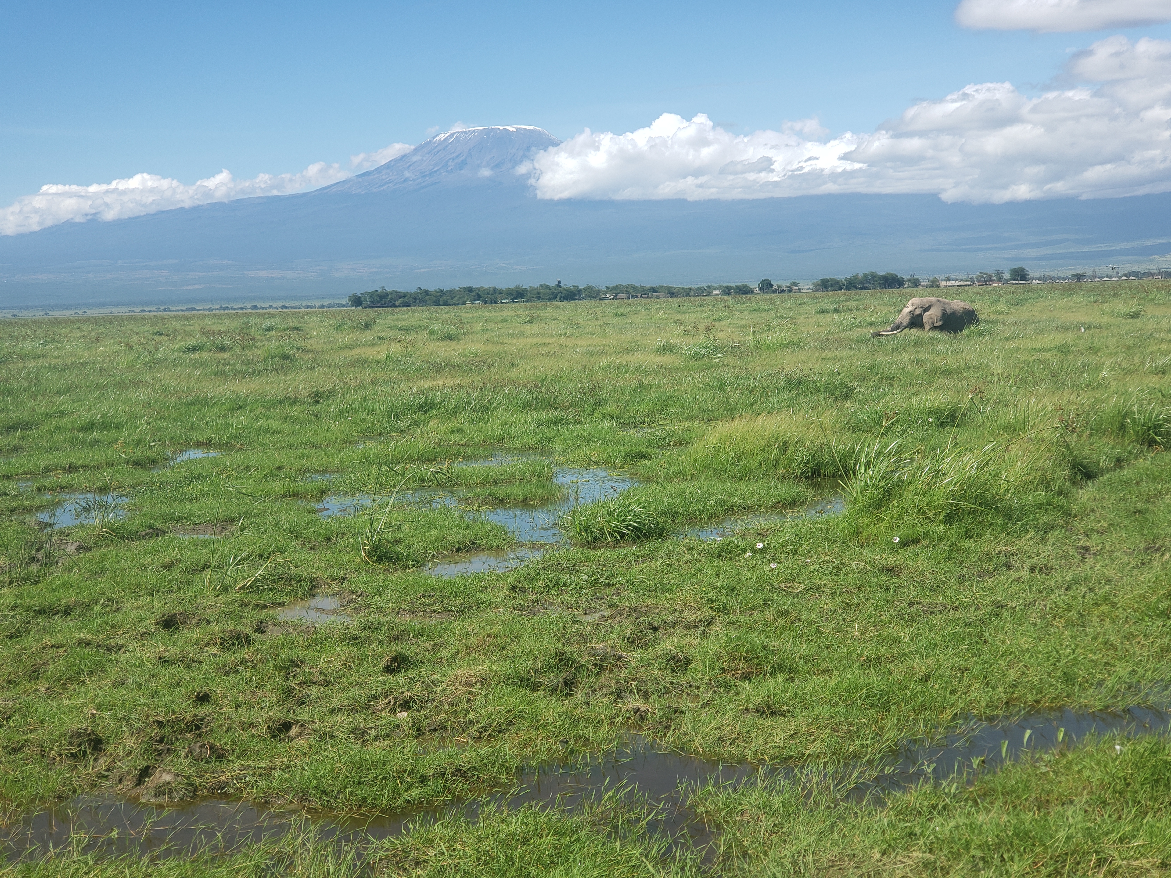 Kenya National Park Amboseli ; A Chilled Park on the heart of Kilimanjaro