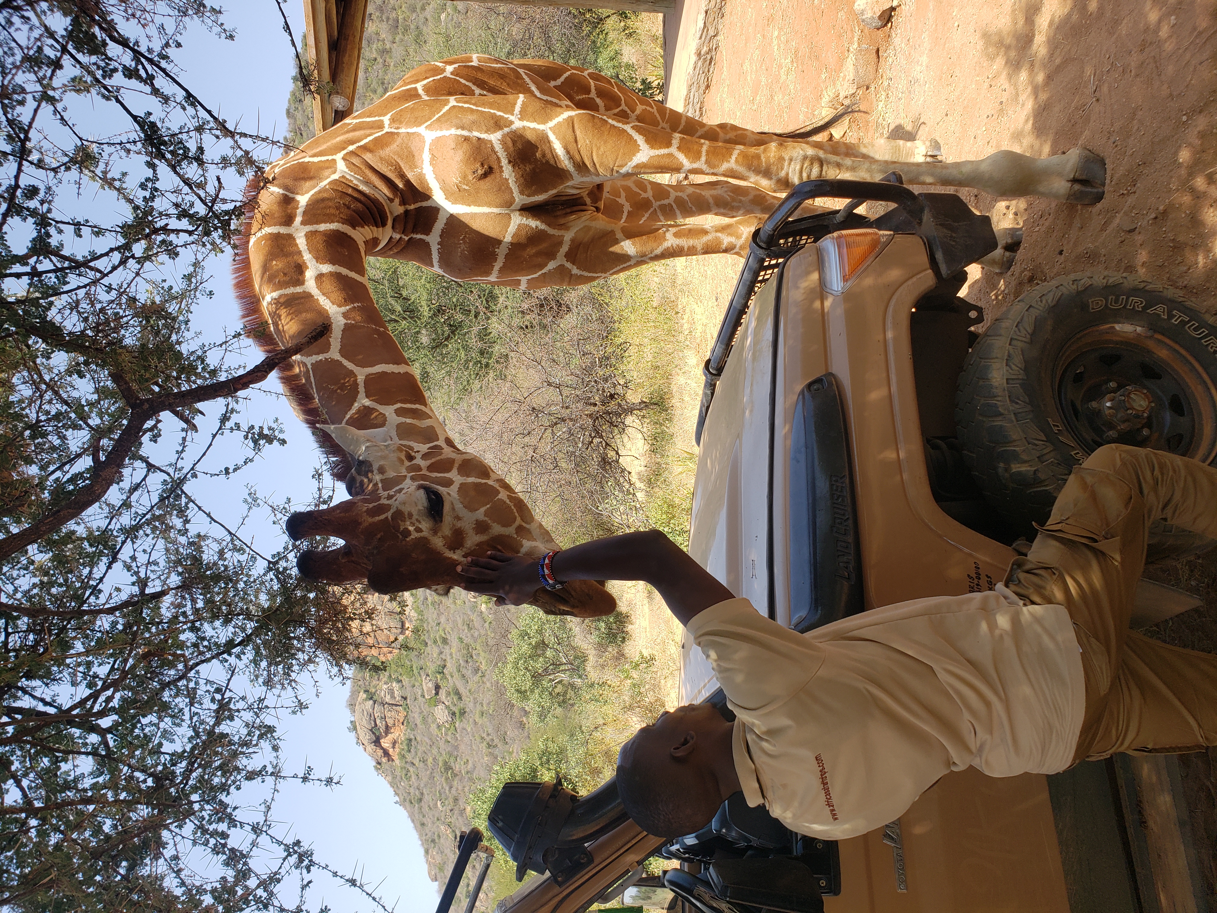 8 DAYS THROUGH KENYA SERENE PARKS.