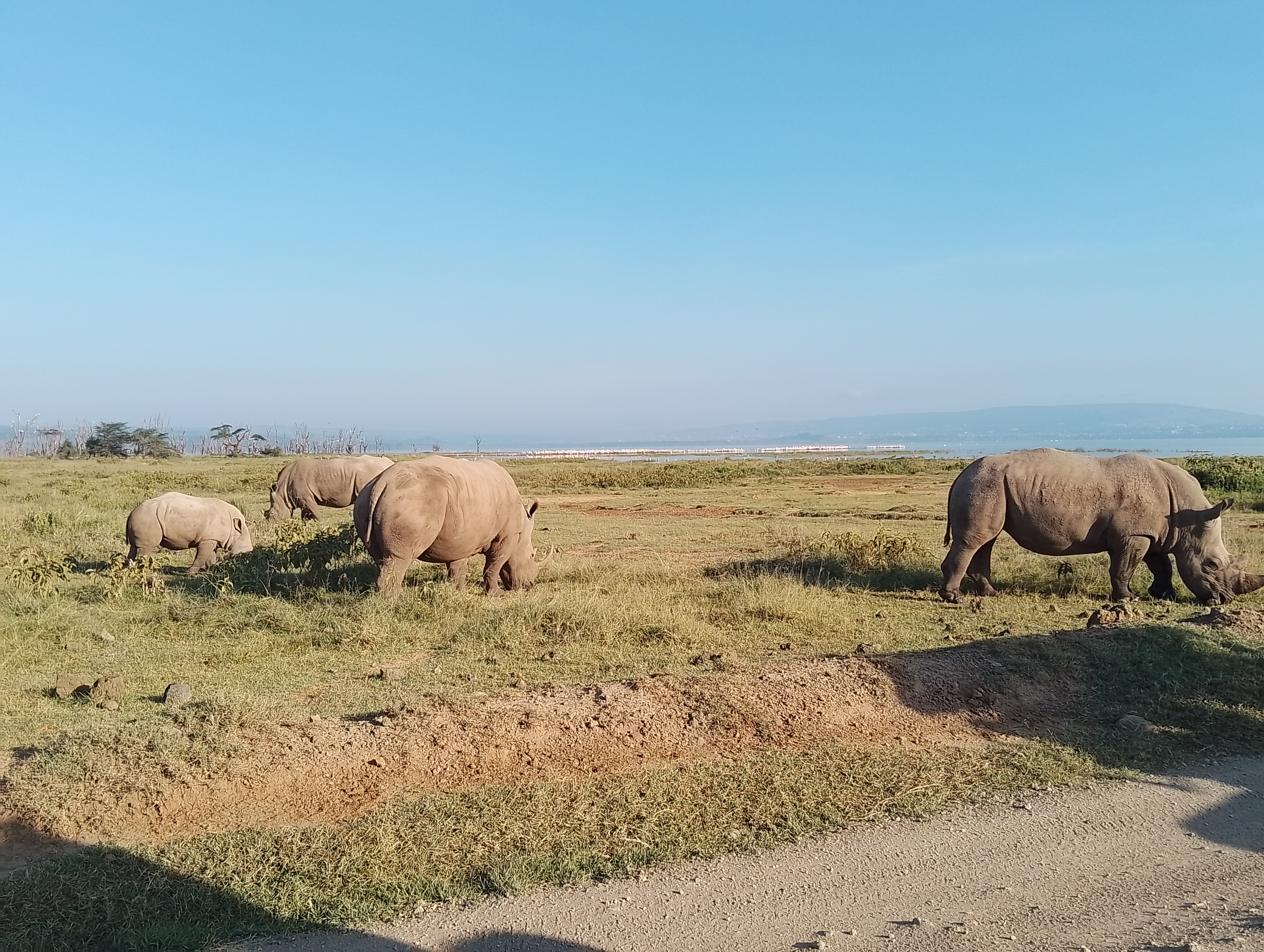 5 DAYS LAKES AND SAVANNAH OF KENYA